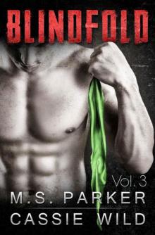      Blindfold Vol. 3