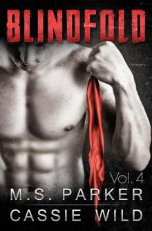      Blindfold Vol. 4
