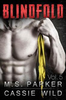      Blindfold Vol. 5