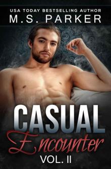      Casual Encounter Vol. 2
