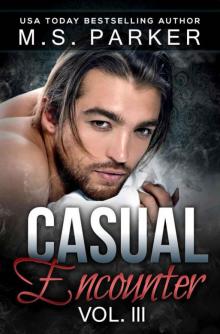      Casual Encounter Vol. 3