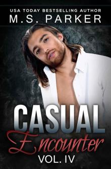      Casual Encounter Vol. 4