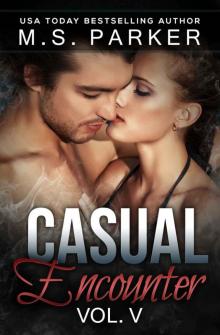      Casual Encounter Vol. 5