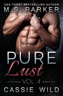      Pure Lust Vol. 4
