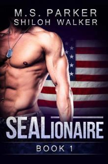      SEALionaire Book 1: A Military Romance