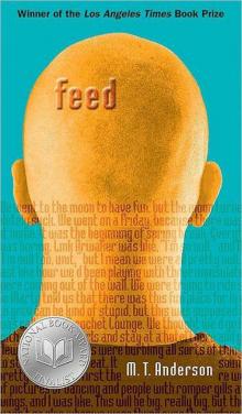      Feed