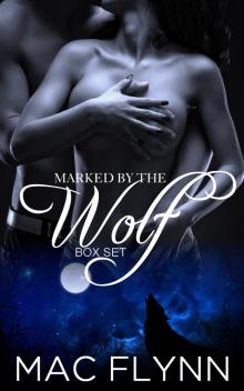      Marked by the Wolf Box Set