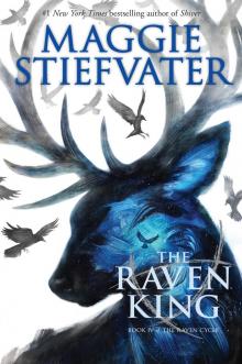      The Raven King