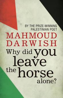      Why Did You Leave the Horse Alone?