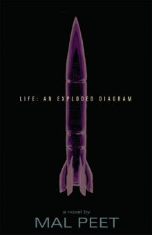      Life: An Exploded Diagram