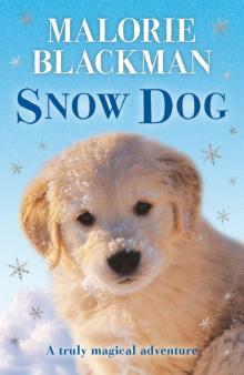      Snow Dog