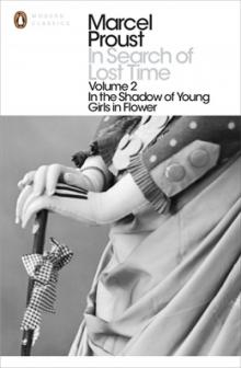      In the Shadow of Young Girls in Flower