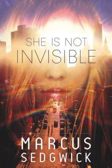      She Is Not Invisible