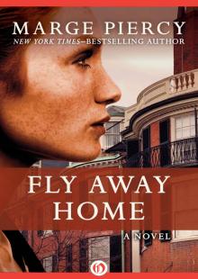     Fly Away Home