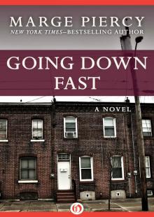      Going Down Fast: A Novel