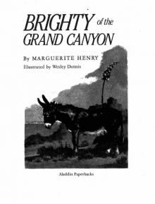      Brighty of the Grand Canyon (Marguerite Henry Horseshoe Library)