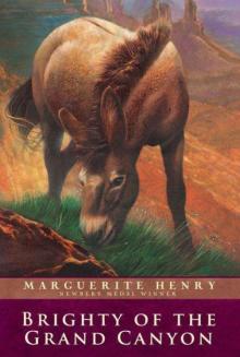      Brighty of the Grand Canyon