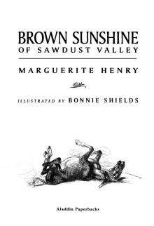      Brown Sunshine of Sawdust Valley