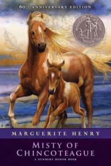      Misty of Chincoteague