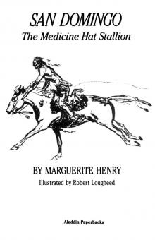      San Domingo: The Medicine Hat Stallion