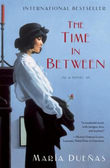      The Time in Between