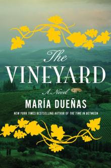      The Vineyard