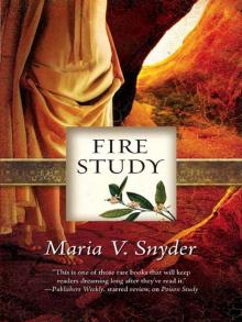      Fire Study