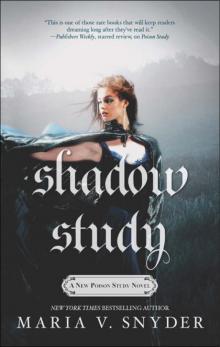      Shadow Study