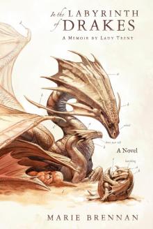      In the Labyrinth of Drakes