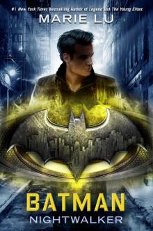 Batman: Nightwalker Batman: Nightwalker