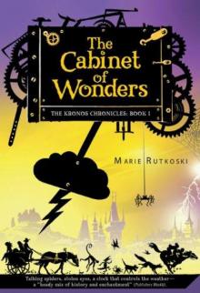      The Cabinet of Wonders