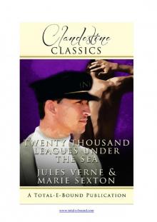      Twenty Thousand Leagues Under the Sea