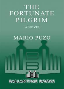      The Fortunate Pilgrim