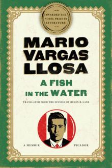      A Fish in the Water