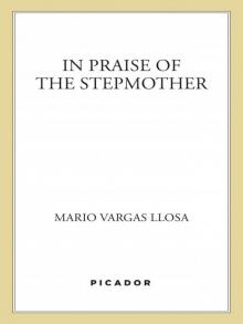      In Praise of the Stepmother