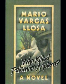      Who Killed Palomino Molero?