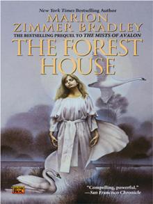      The Forest House