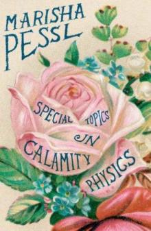     Special Topics in Calamity Physics