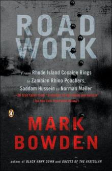      Road Work: Among Tyrants, Heroes, Rogues, and Beasts