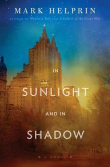      In Sunlight and in Shadow