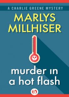      Murder in a Hot Flash