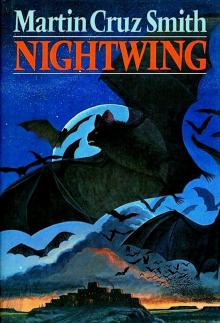      Nightwing
