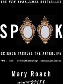      Spook: Science Tackles the Afterlife