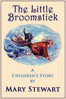      The Little Broomstick