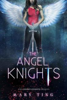      The Angel Knights