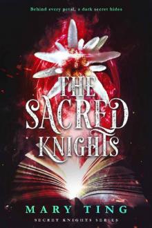     The Sacred Knights