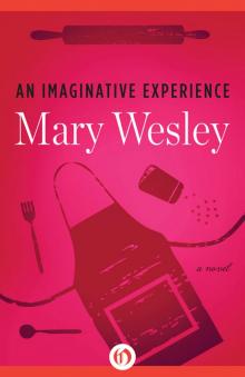      Imaginative Experience