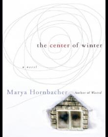      The Center of Winter: A Novel
