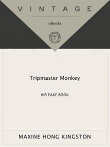      Tripmaster Monkey: His Fake Book