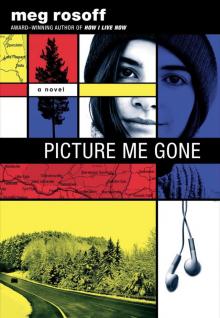      Picture Me Gone